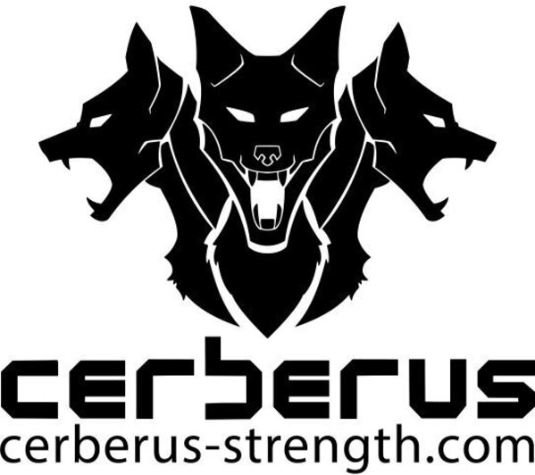 Triple-Ply Deadlift Belt by CERBERUS Strength