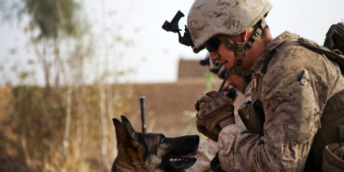 On This ARMED FORCES DAY, Get to Know Someone in the Military