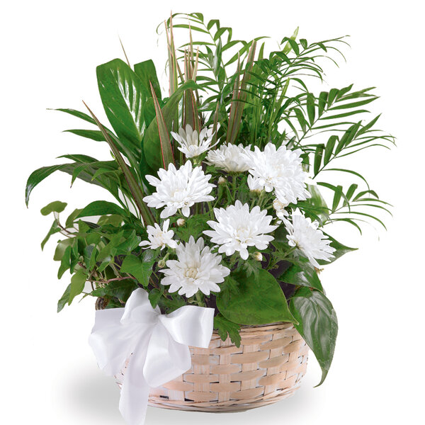 Phillip's Flowers FTD Peaceful Garden Basket Discounts for Veterans