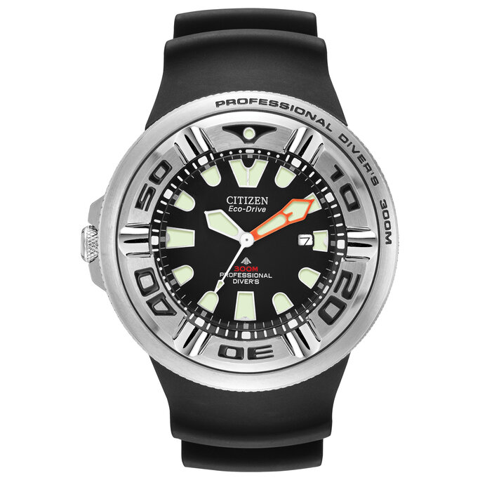 Citizen law clearance enforcement watch