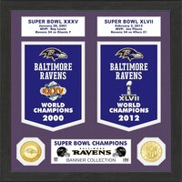 Pittsburgh Steelers Super Bowl Banner Collection and Two Bronze Coins