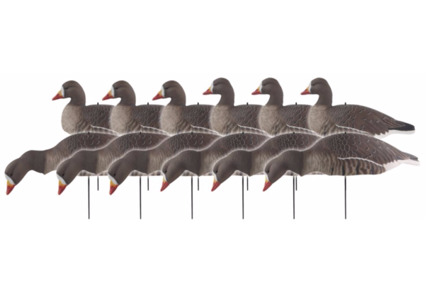 Banded - GHG Pro-Grade Specklebelly Shell Decoys - Military & First