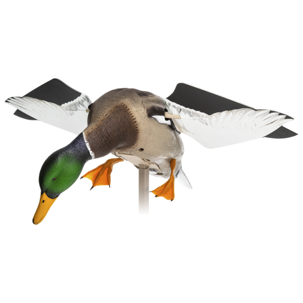 Does Duck Decoy Size Matter Does Duck Decoy Size Matter