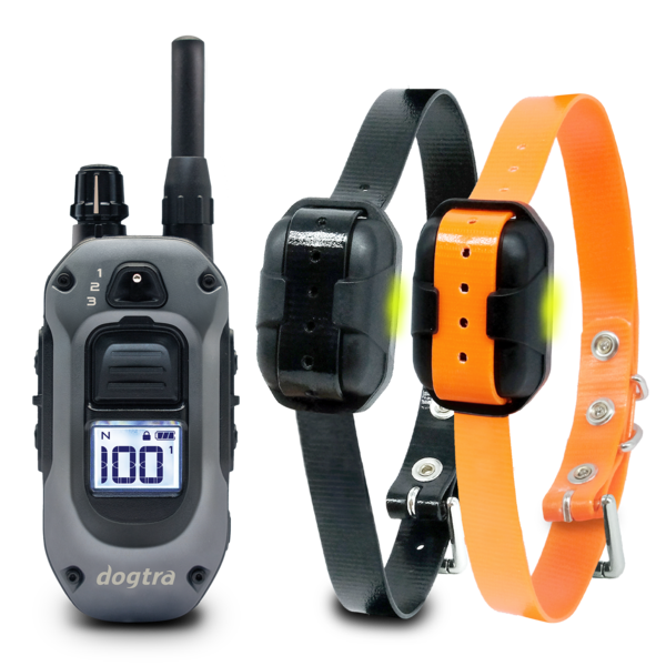 Dogtra - 280X 2-Dog Unit - Military & Gov't Discounts | GOVX