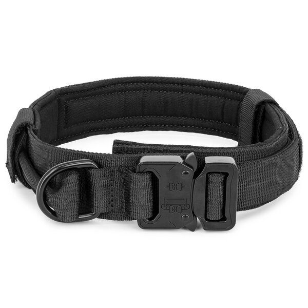 9422629_tactical-dog-