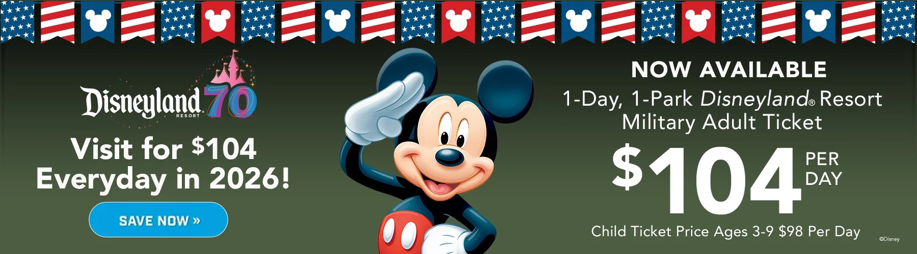 Disney+ | MELISSA LIM's PR PORTFOLIO, image size:1800x500